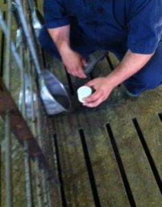 Use a paint can lid to measure flow rate when measuring water flow rates.