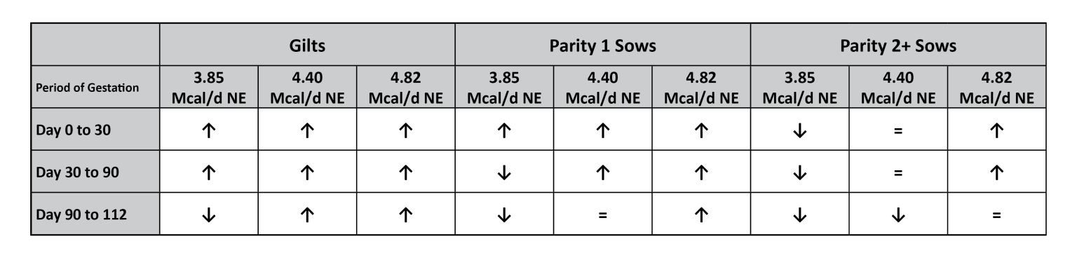 Lme Sows Do today's sows receive a sufficient daily amount of energy to meet ...