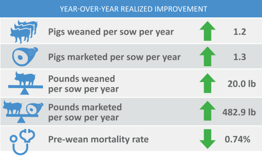 Year over year improvement in pigs weaned per sow per year, pigs marketed per sow per year, pounds weaned per sow per year, pounds marketed per sow per year, pre-wean mortality rate.