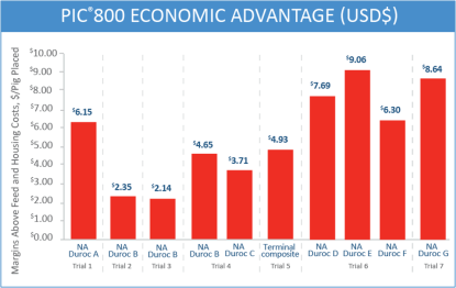 This graph shows that PIC®800 offspring consistently deliver economic advantages of up to $5.96 over competitor progeny.