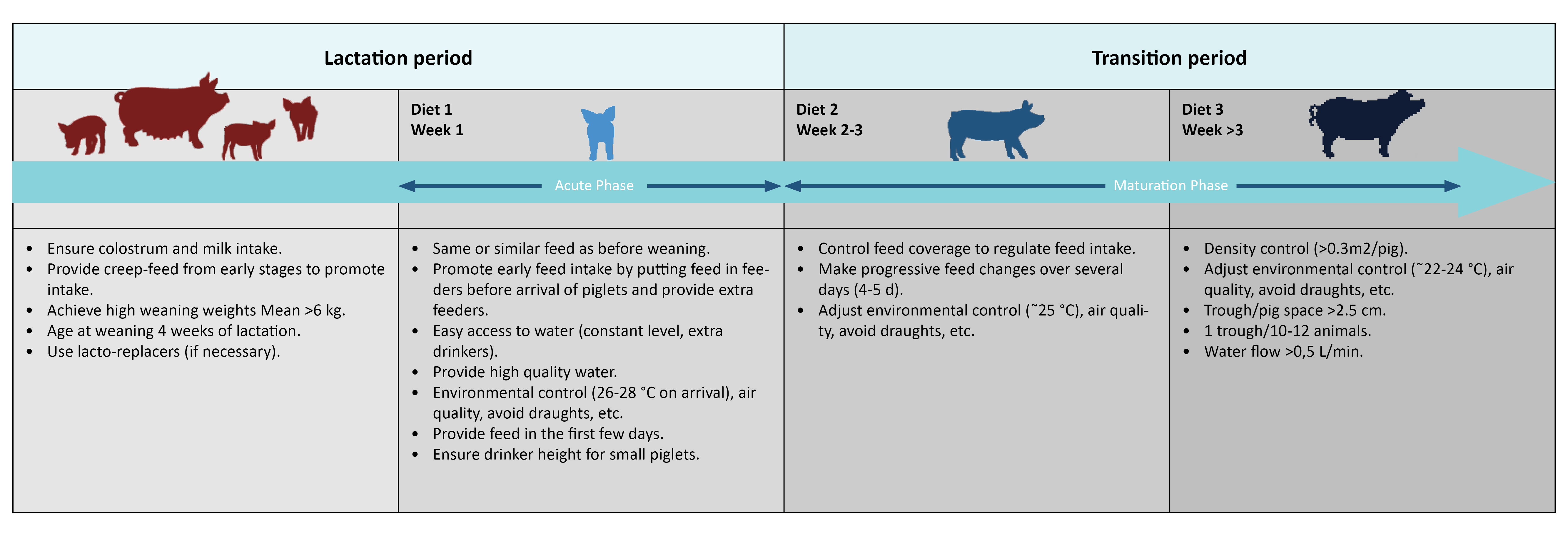 Management and Nutrition Strategies for Post-weaning Challenges - Part ...