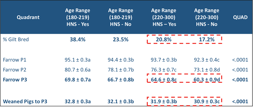 Table comparing four gilt fertility quadrants based on service age (180–219 days vs. 220–300 days) and HNS status (yes vs. no). The table displays differences in the percentage of gilts bred, farrow rates through parity 3, and pigs weaned to parity 3. Younger gilts with HNS show the strongest performance across metrics. Older gilts—especially those without HNS—have lower farrow rates and fewer pigs weaned, highlighting the impact of both age at breeding and HNS on long-term outcomes.