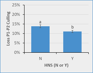 Bar chart comparing culling losses from parity 1 to parity 2 for gilts with and without Heat No Service (HNS). Gilts without HNS show higher culling losses than those with HNS, indicating that HNS supports better retention during this period.