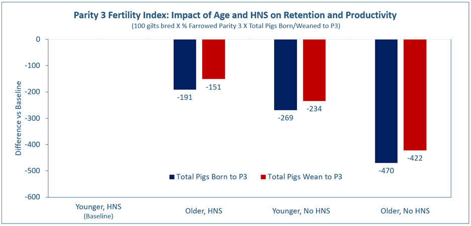 Chart illustrating the impact of age and Heat No Service (HNS) on retention and productivity through parity 3. Four groups are compared: younger gilts with HNS (baseline), older gilts with HNS, younger gilts without HNS, and older gilts without HNS. All three non-baseline groups show negative differences from the baseline, with the greatest decline in total pigs born and weaned observed in older gilts without HNS.