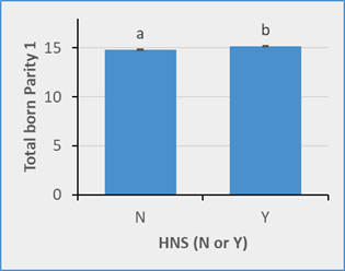 Bar chart comparing total pigs born at parity 1 for gilts with and without Heat No Service (HNS). Gilts with HNS produce a higher total born than those without HNS. 