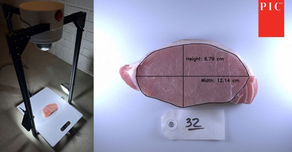 PIC Pork Chop Studio imaging system capturing a pork loin sample, with AI-measured dimensions including height and width to improve meat quality evaluation.