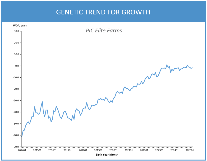 Line chart showing genetic progress in growth performance for PIC Camborough® genetics from 2014 to 2025.