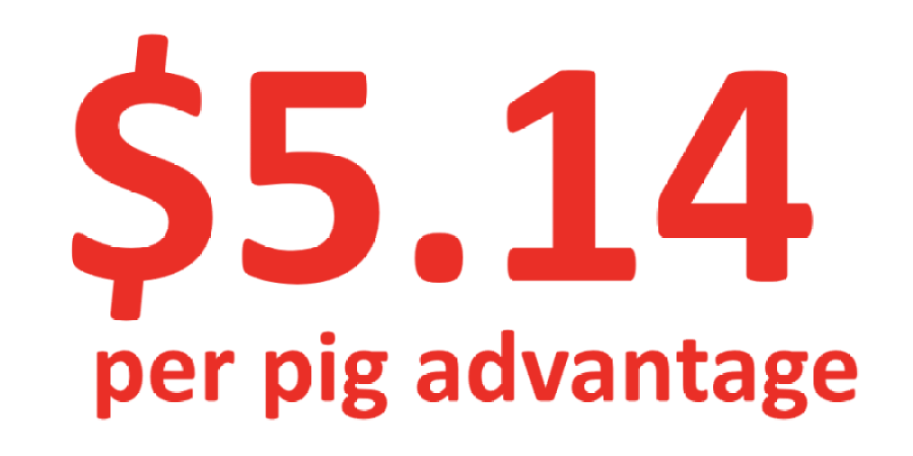 Average economic advantage statistic showing PIC800 provided a $5.14 per pig advantage in 12 head-to-head trials against competing Duroc sire lines.
