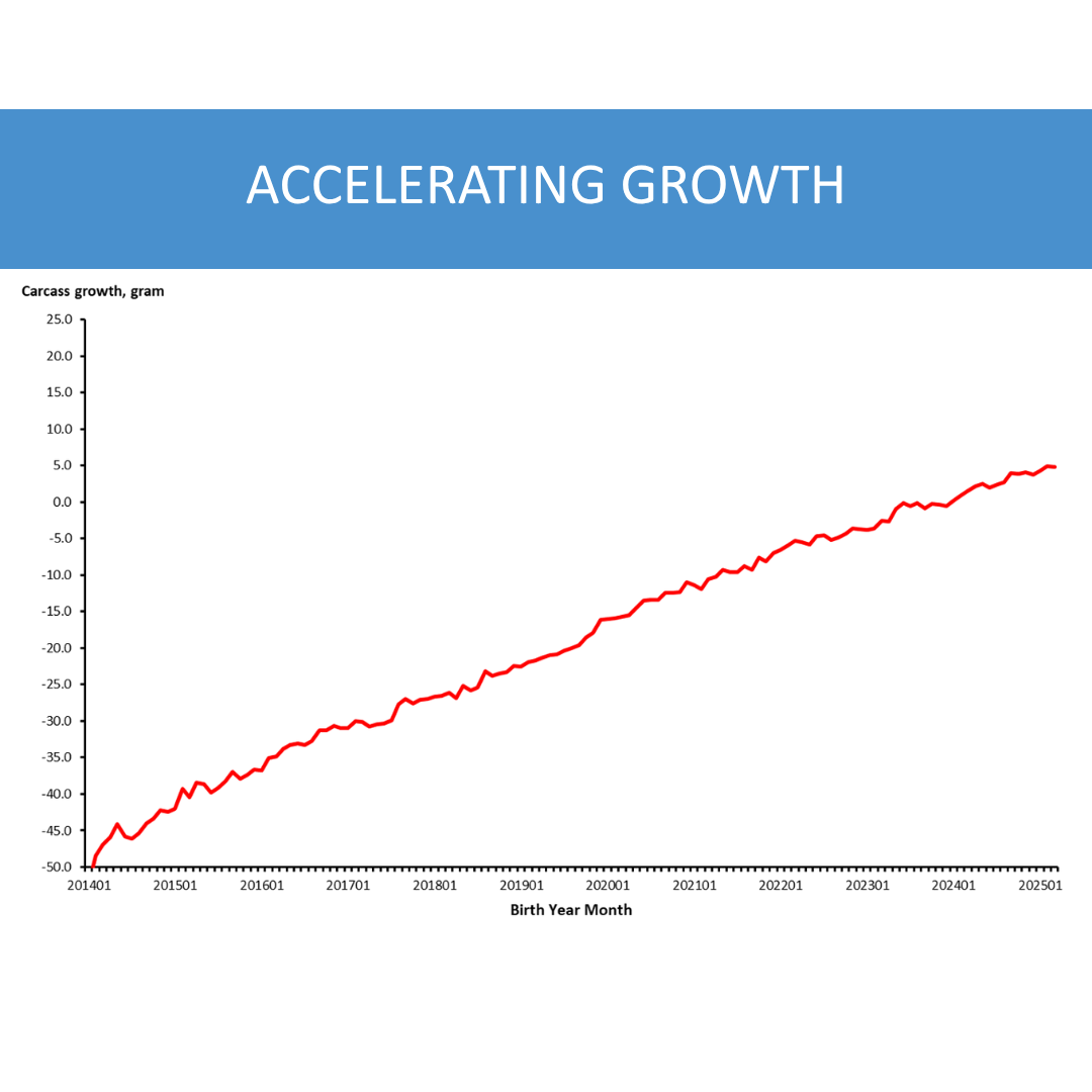 Trend chart illustrating ongoing genetic improvement of PIC genetics over time, showing gains in growth performance and robustness based on PIC Elite Farm data.