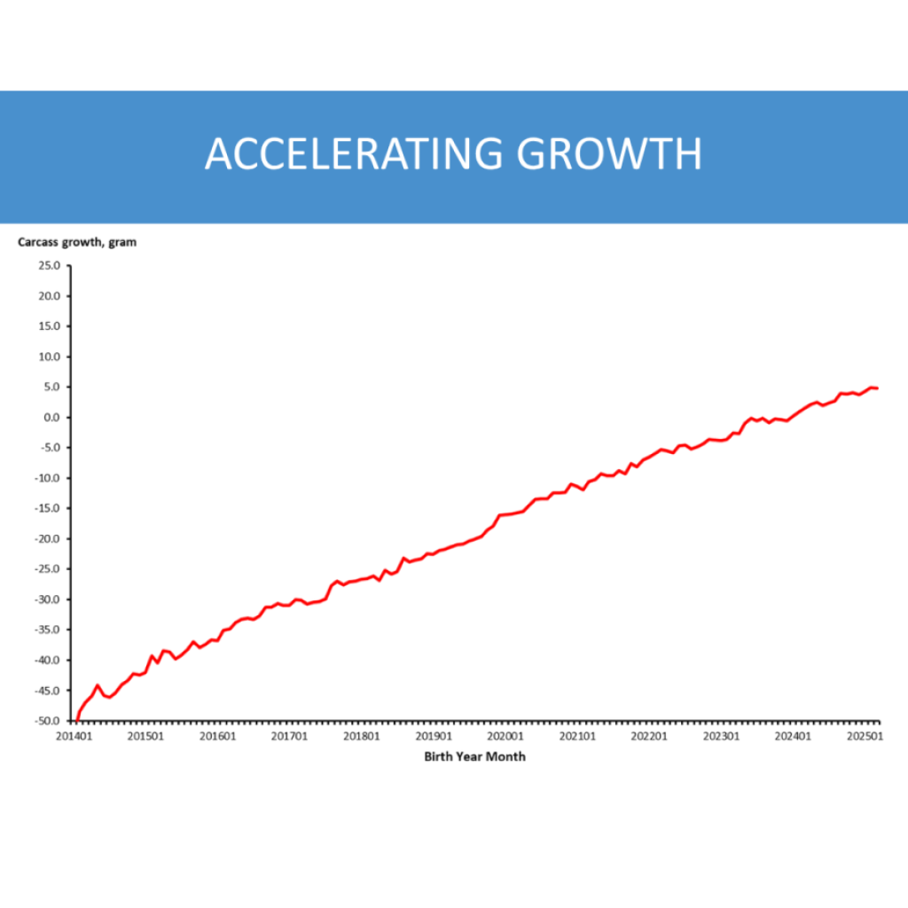 Trend chart illustrating ongoing PIC genetic improvement over time, showing gains in growth performance and robustness based on PIC Elite Farm data.