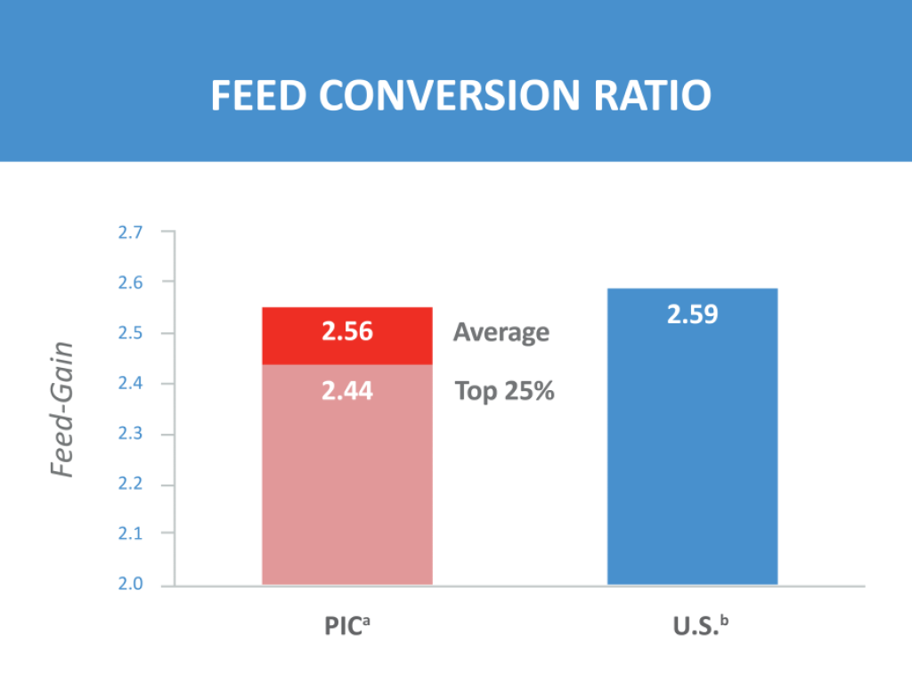 Bar chart comparing PIC®800 offspring performance to U.S. pork industry benchmarks. PIC®800 outperforms the industry benchmark for feed conversion ratio.