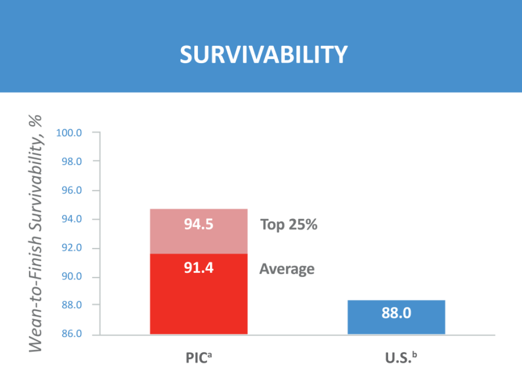 Bar chart comparing PIC®800 offspring performance to U.S. pork industry benchmarks. PIC®800 outperforms the industry survivability benchmark.