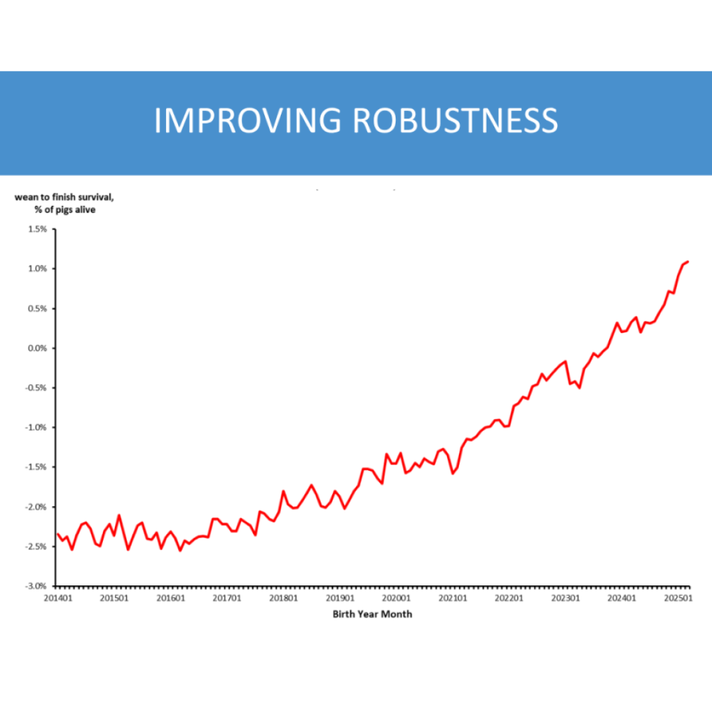 Trend chart illustrating ongoing PIC genetic improvement over time, showing gains in growth performance and robustness based on PIC Elite Farm data.